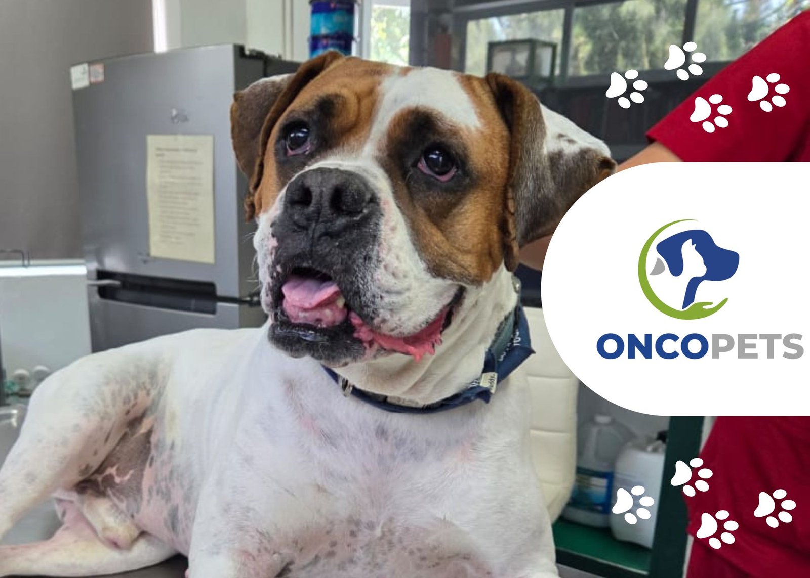 Tumor en tracto gastrointestinal