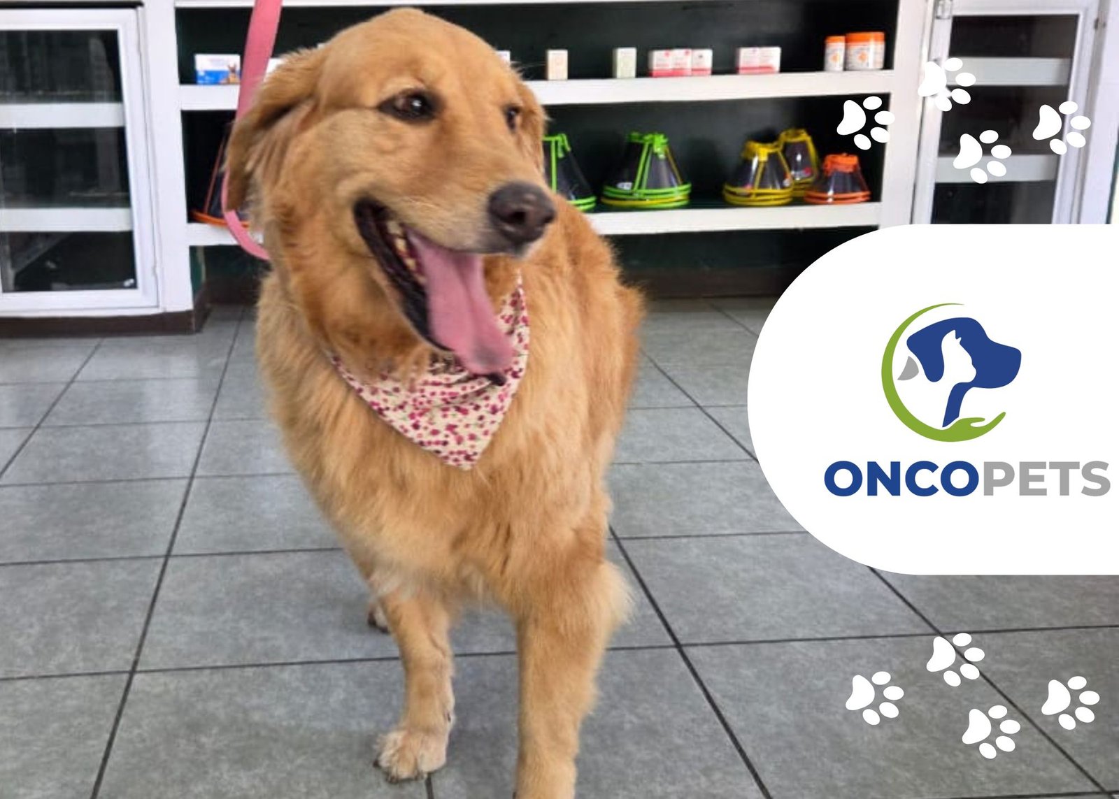 Tumores en el hígado