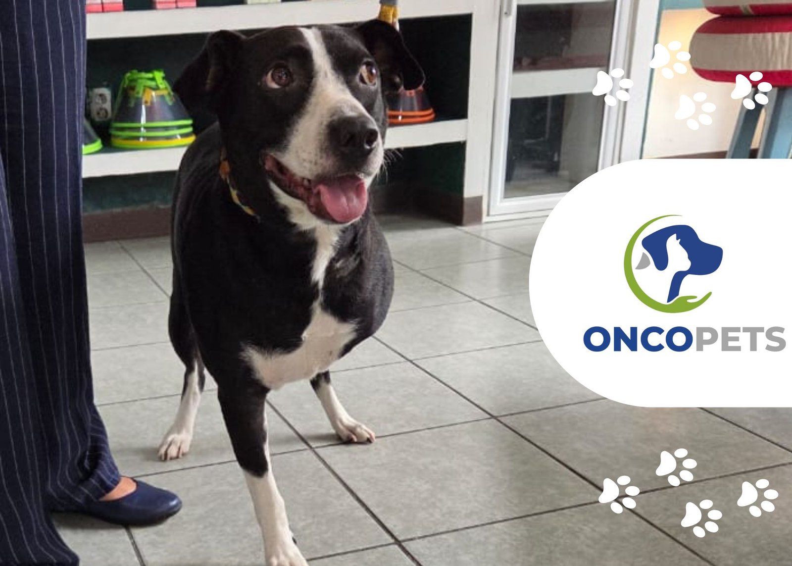 Tumores en los huesos