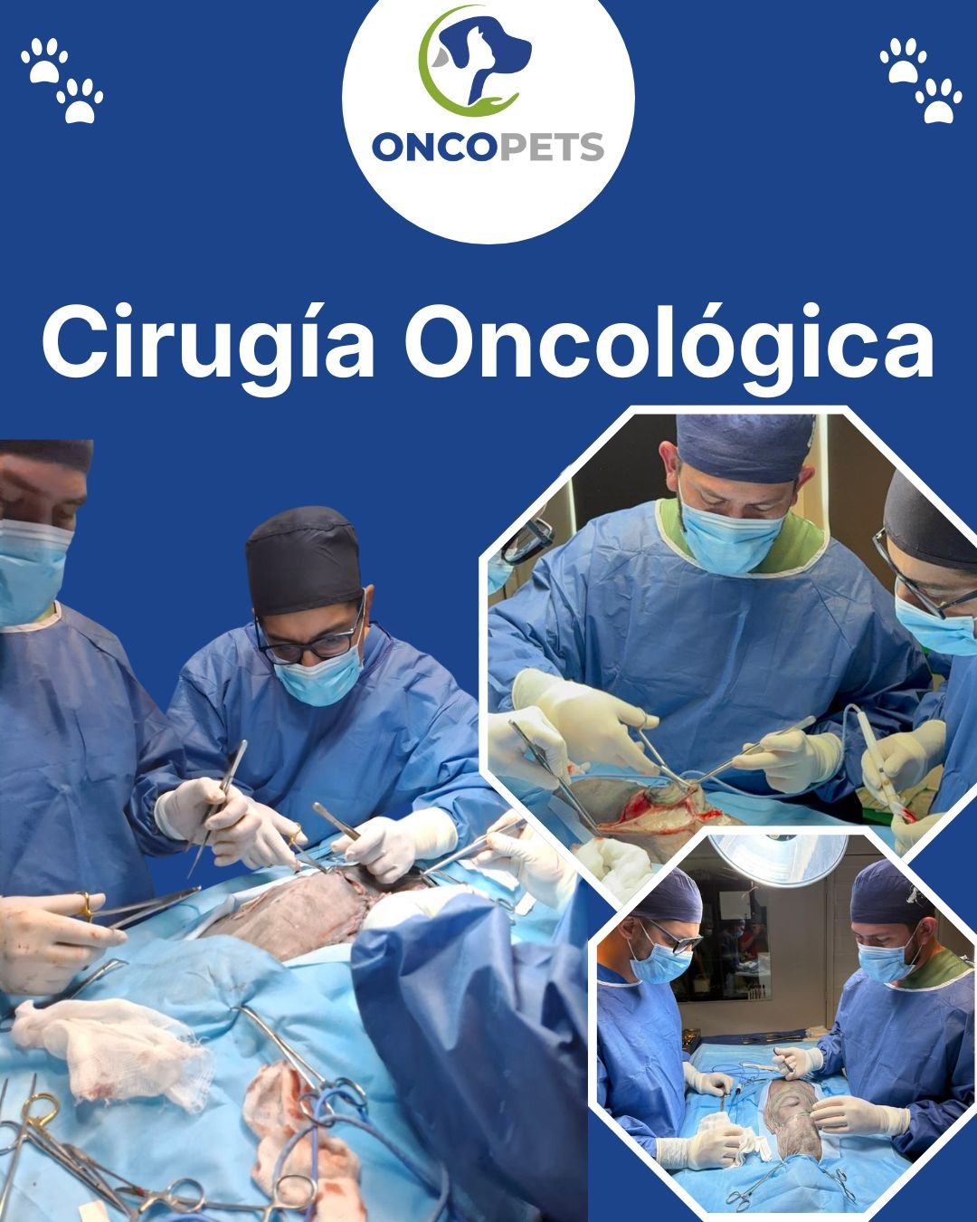 Cirugía Oncologica (1)